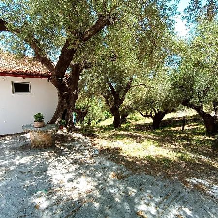 Villa Xigia Hideaway - Panoramic Sea View House Zakynthos Exterior foto